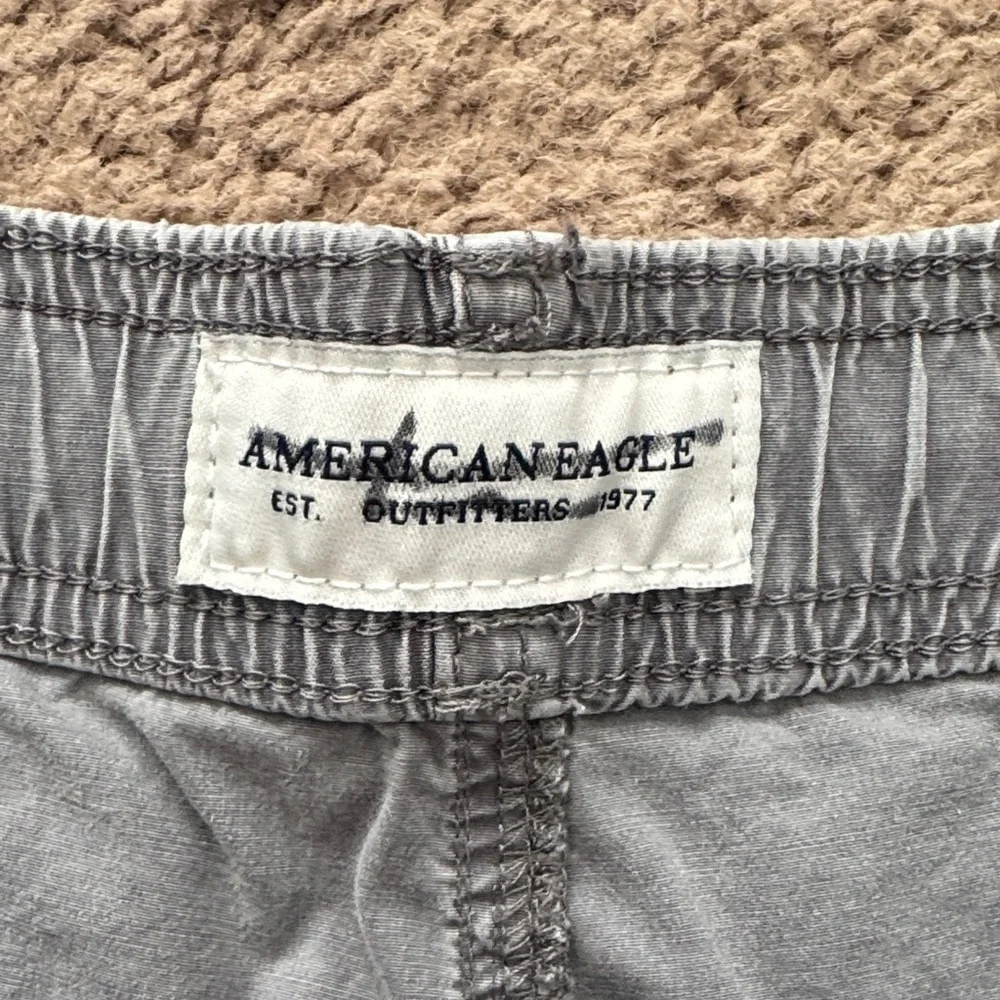American Eagle Outfitters Men's Charcoal Flat Front Shorts